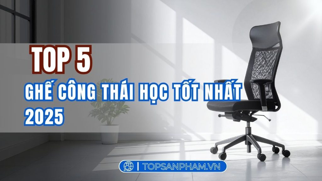 Top 5 ghế công thái học tốt nhất 2025 – Giải pháp bảo vệ sức khỏe dân văn phòng